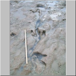 100_0551 (2009-26-07)m.JPG